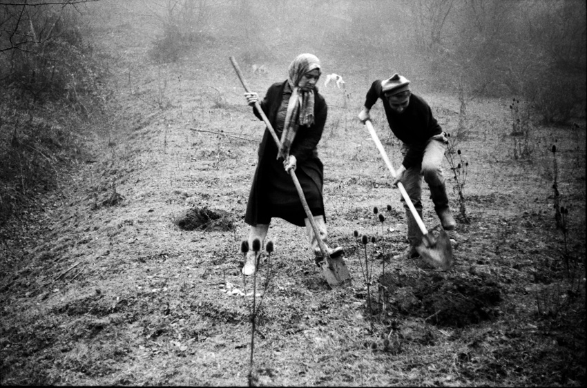 NATELA GRIGALASHVILI